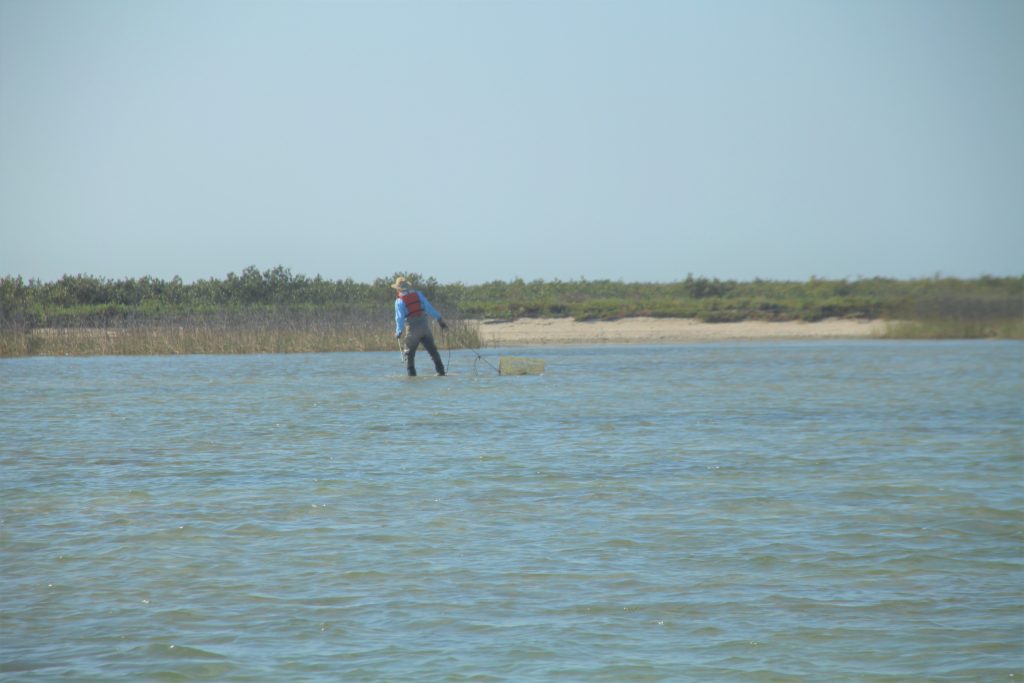 Crab Trap Removal Img