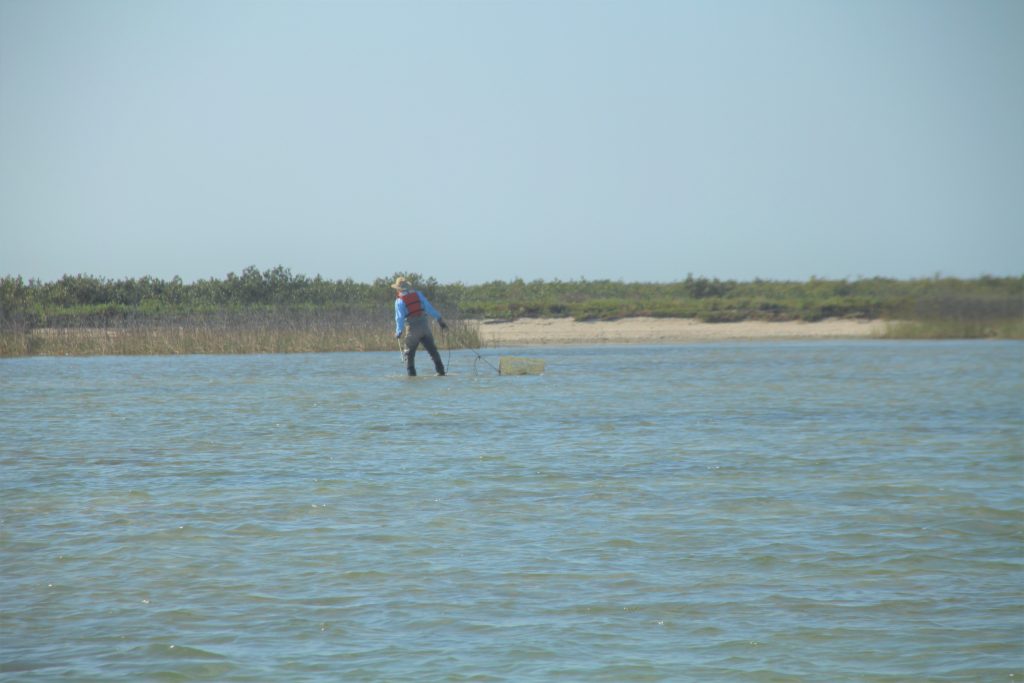 Crab Trap Removal Img