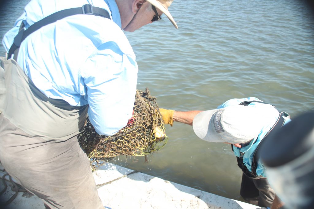 Crab Trap Removal Img