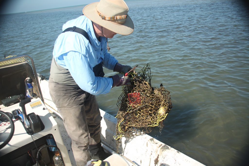 Crab Trap Removal Img