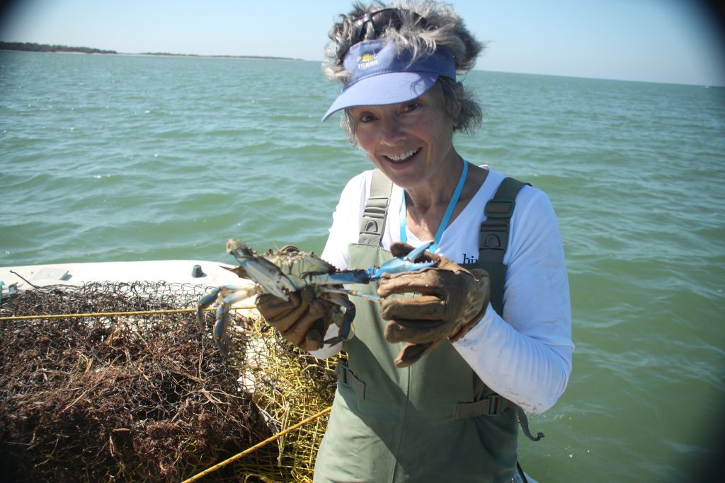 Crab Trap Removal Img