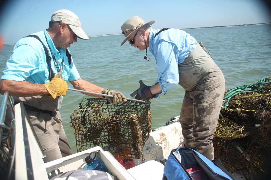 Crab Trap Removal Img