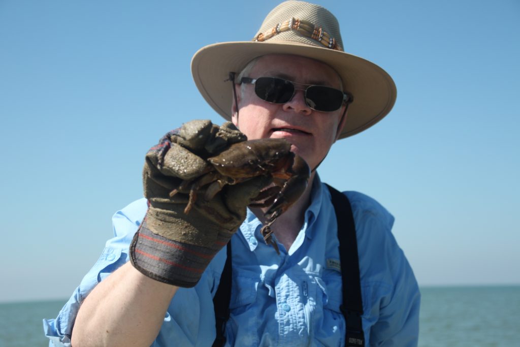 Crab Trap Removal Img