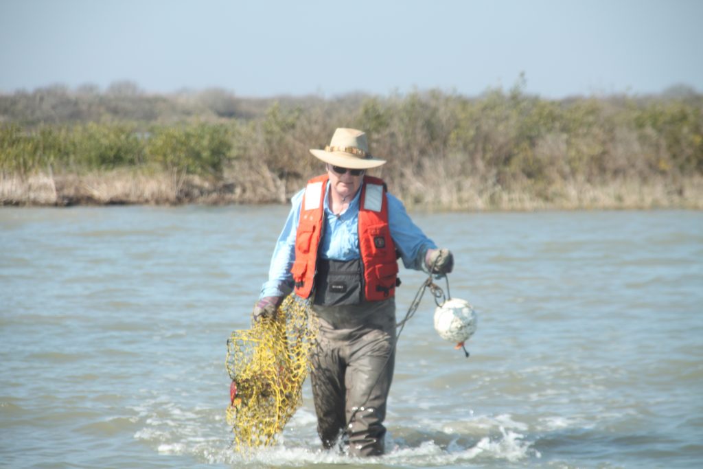 Crab Trap Removal Img