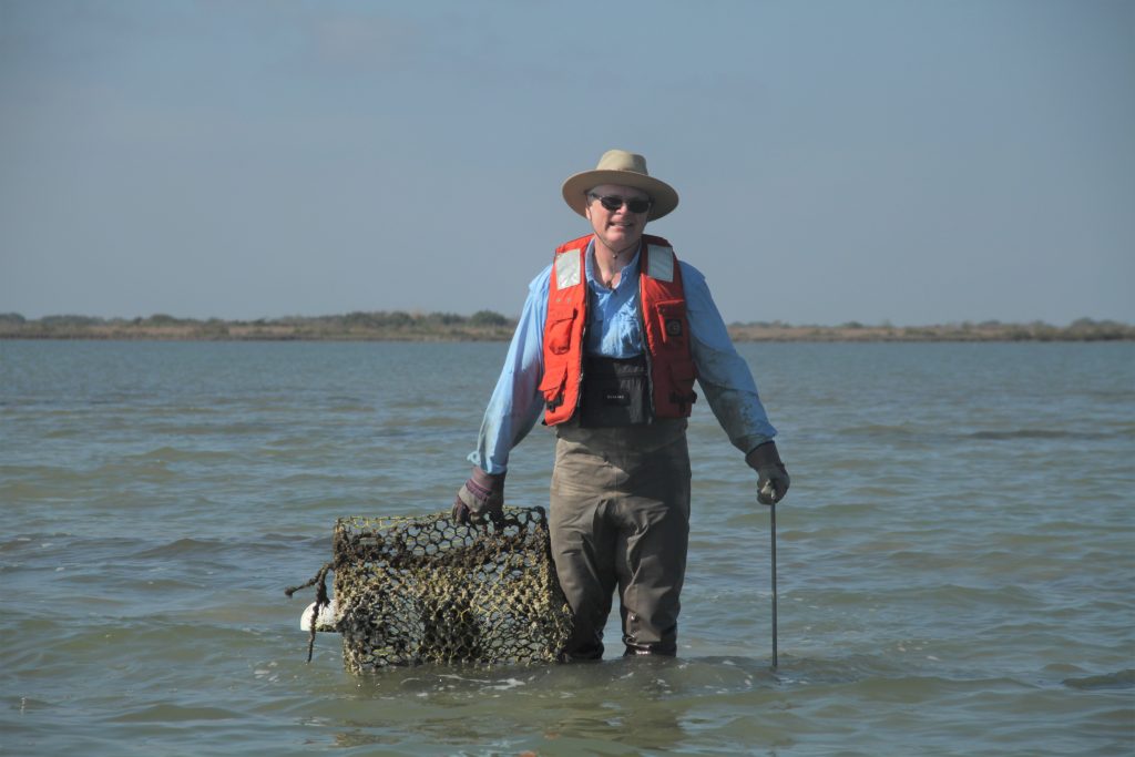 Crab Trap Removal Img