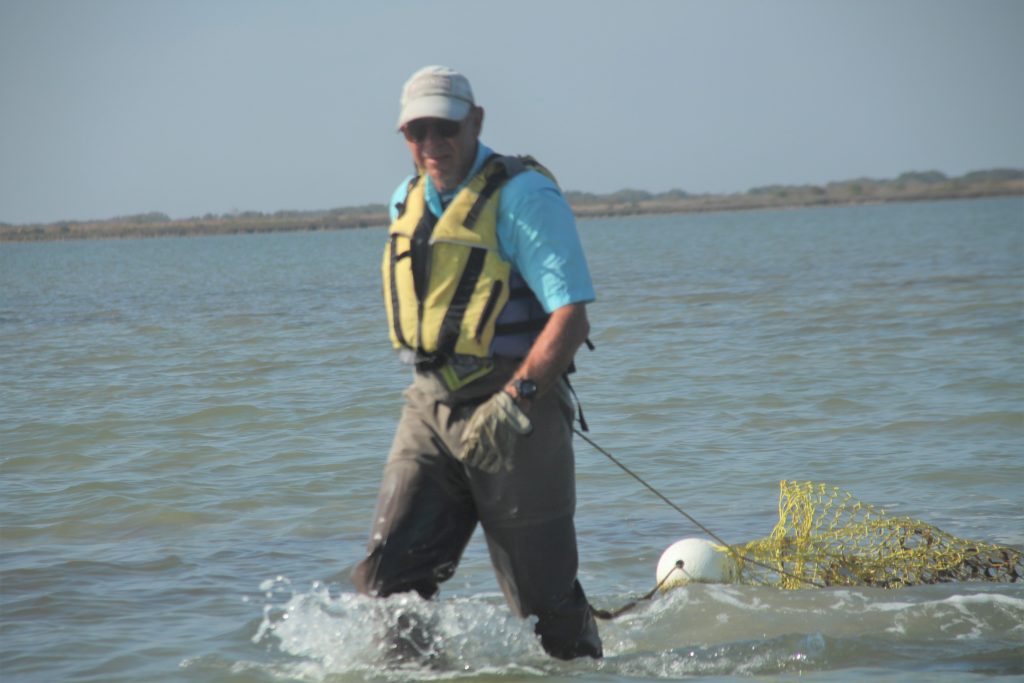 Crab Trap Removal Img