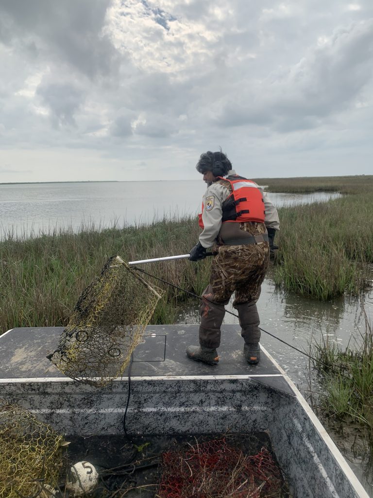 Crab Trap Andy Stetter   Marcos Alaca