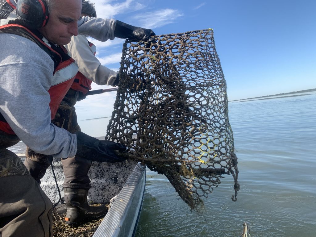 Crab Trap Andy Stetter