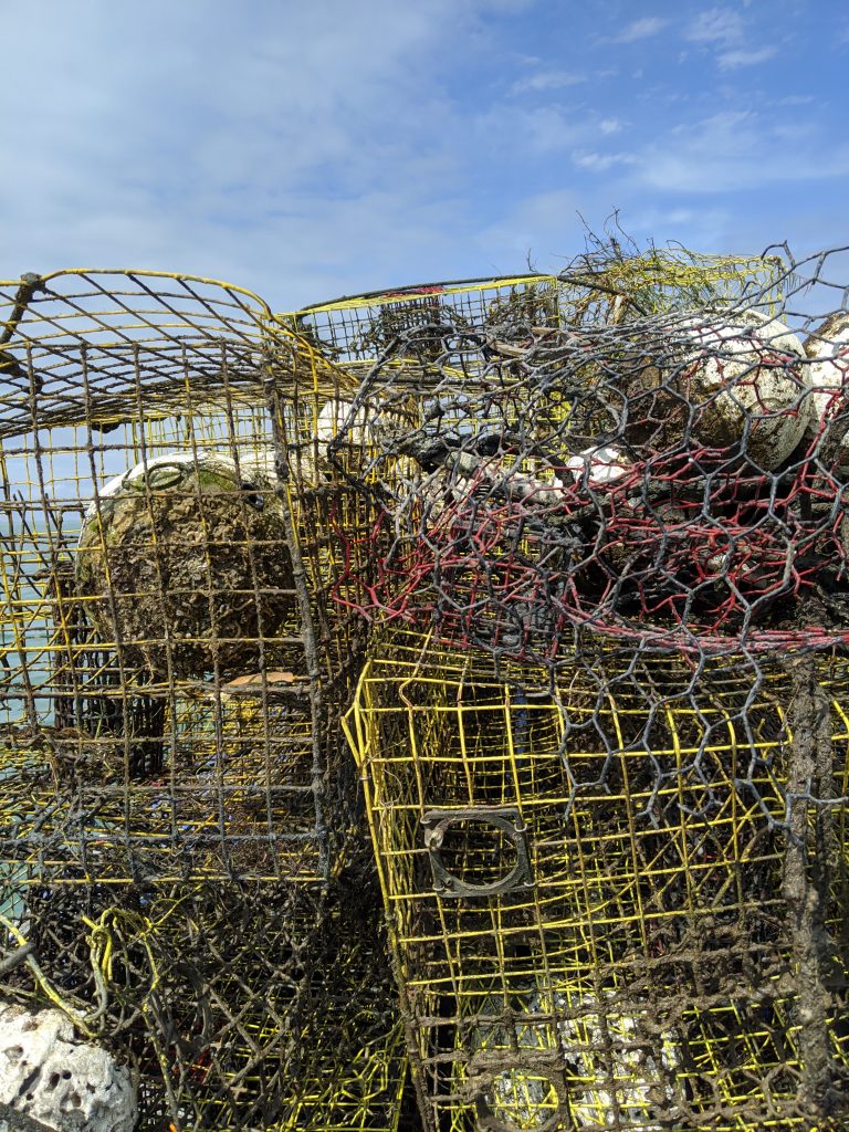 Crab Trap Dallas Zoo