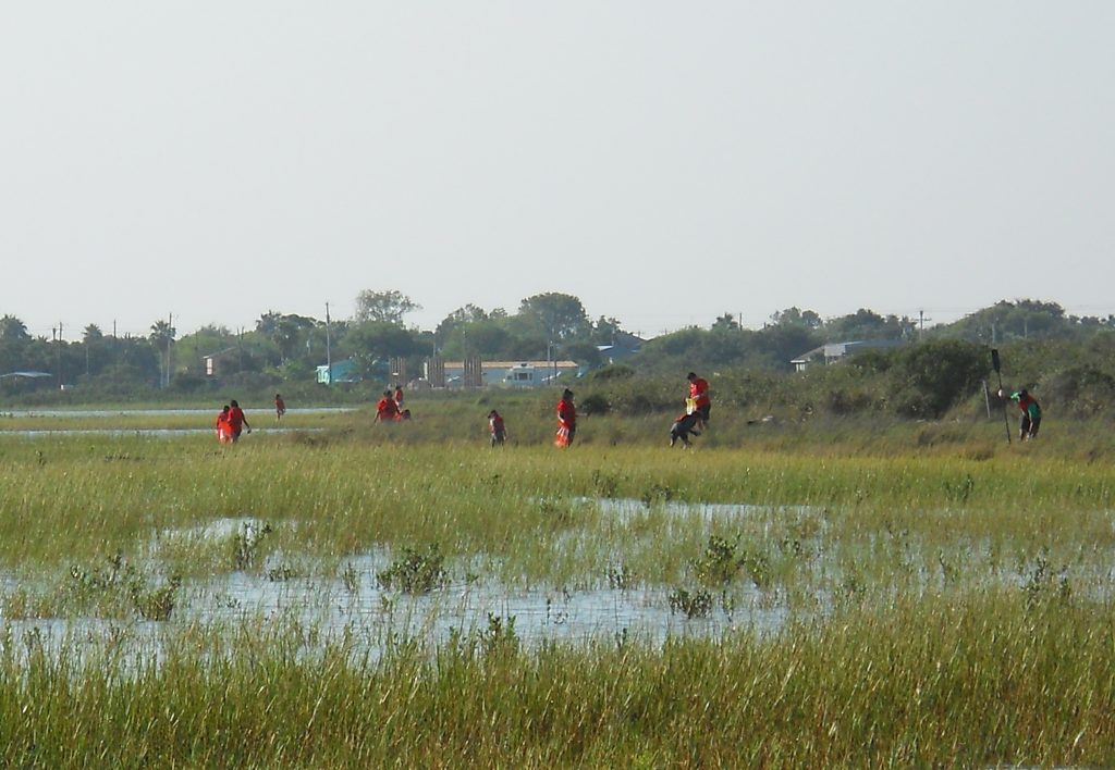 Poc Shorelines Cleanup