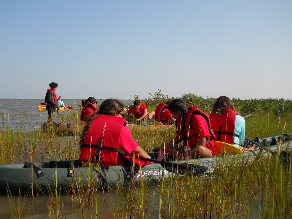 Poc Shorelines Cleanup