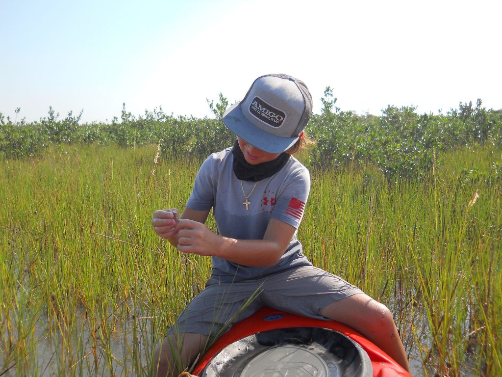 Poc Shorelines Cleanup