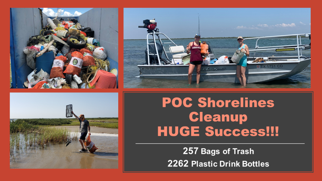 Poc Shorelines Cleanup Website Post