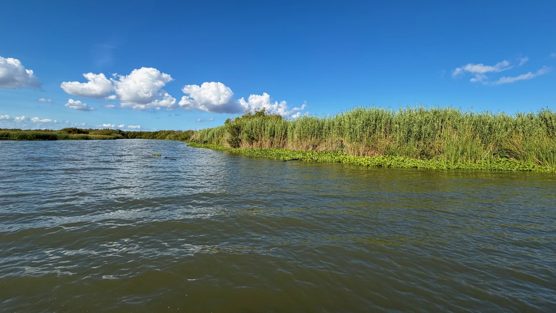 San Antonio Bay Partnership