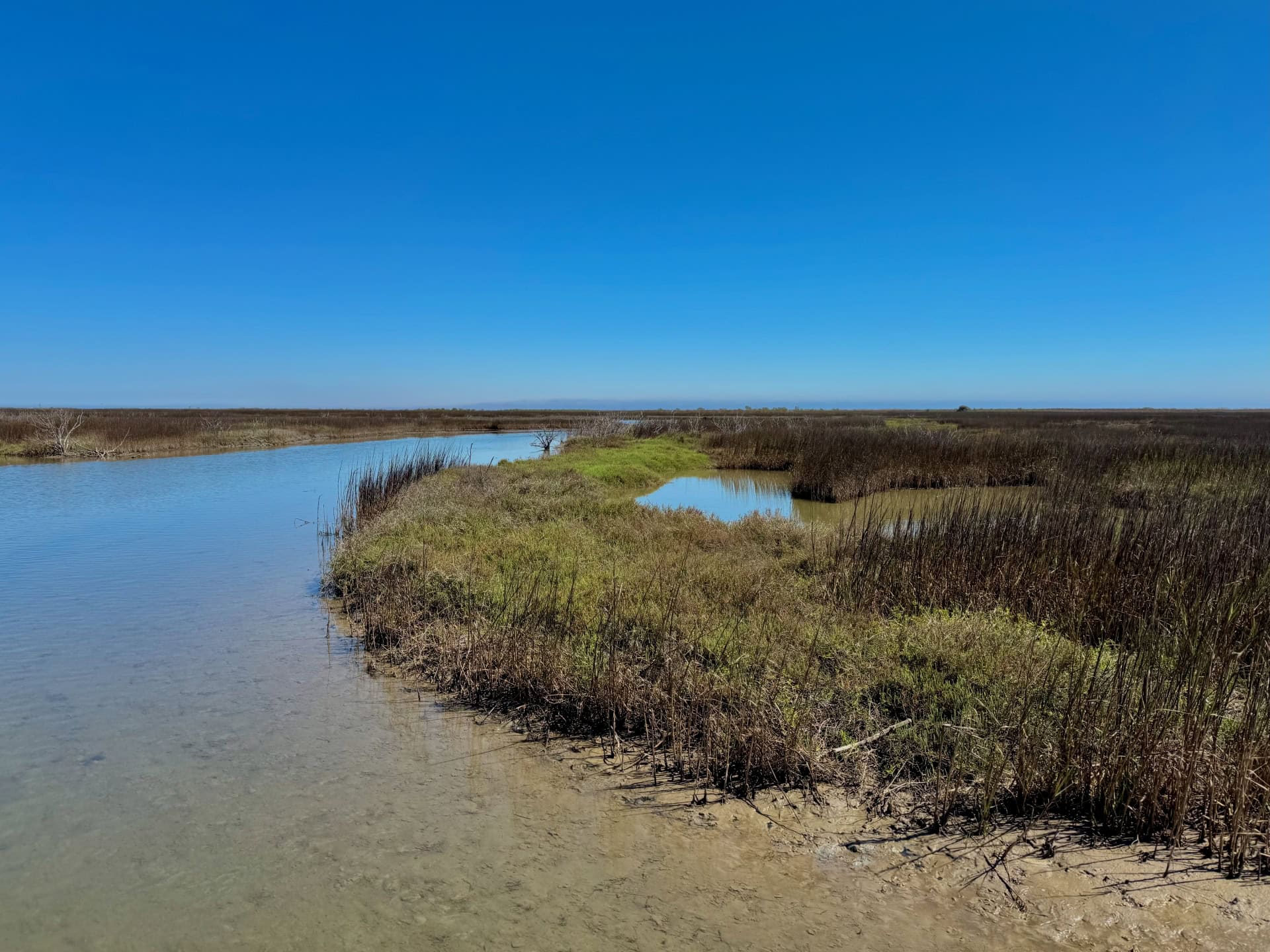 San Antonio Bay Partnership
