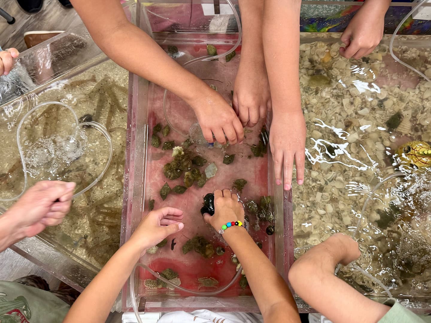 San Antonio Bay Partnership