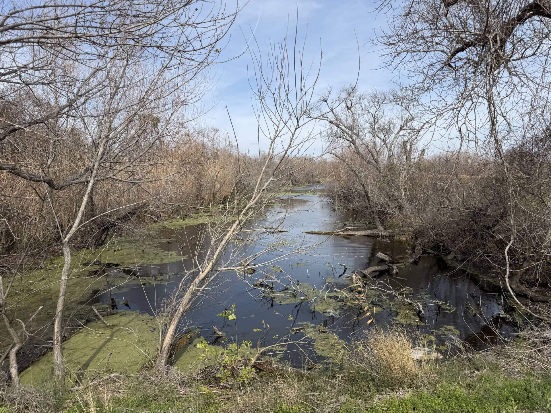 San Antonio Bay Partnership