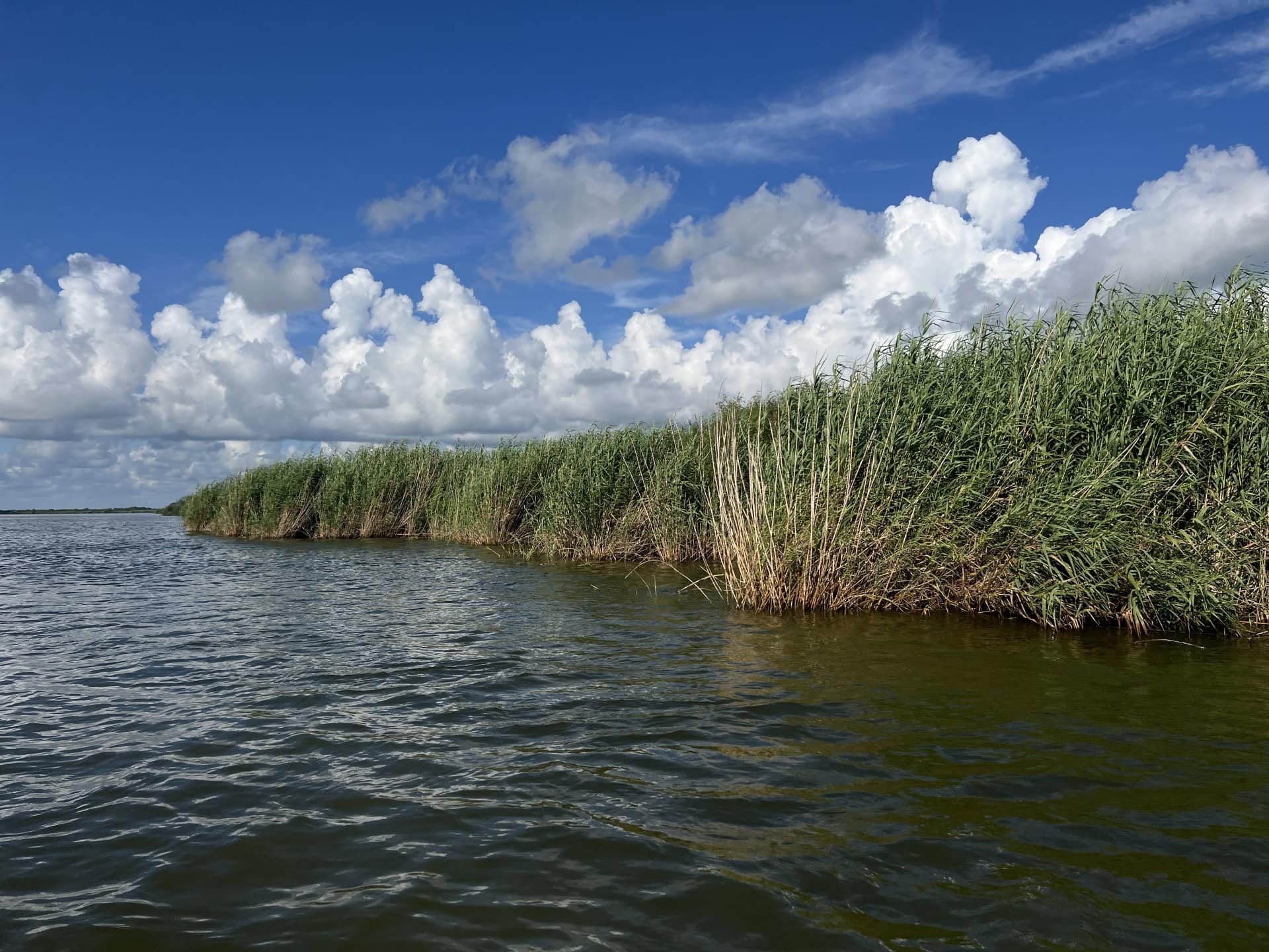 San Antonio Bay Partnership